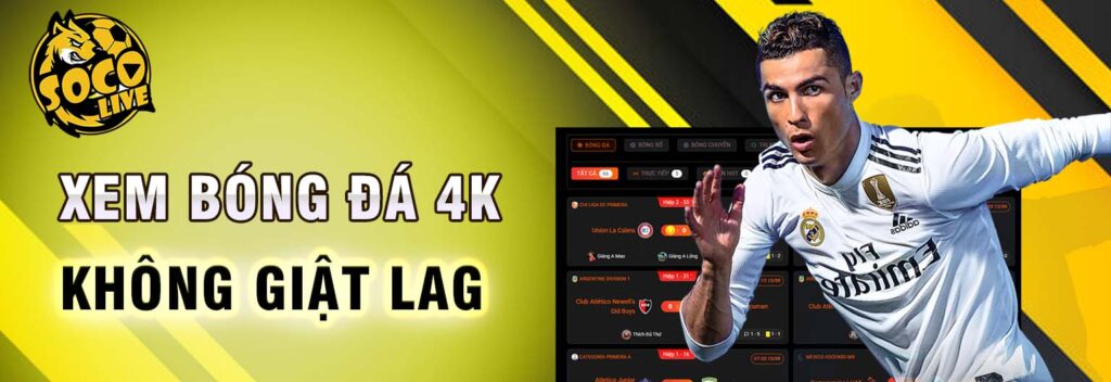Theo dõi các thông tin về lịch thi đấu, bảng xếp hạng và kết quả bóng đá tại Socolive